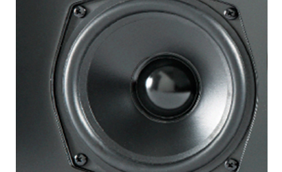 POLK AUDIO T30 - cecha 1