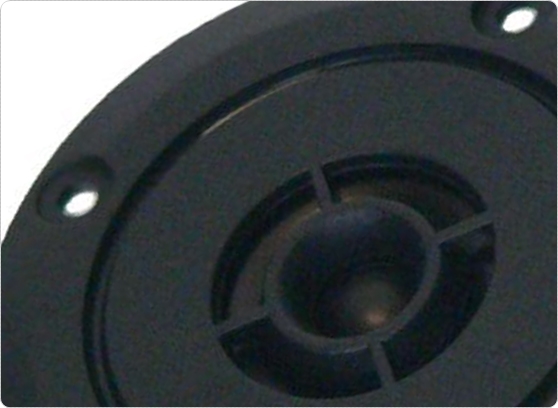 TONSIL GDWK 8/10/1 - cecha1