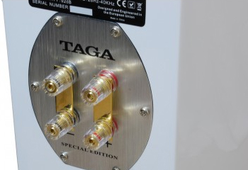 Taga harmony F-100 cecha 2