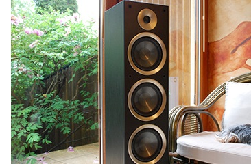 Taga-Harmony Azure F-100 v2 - cecha 3