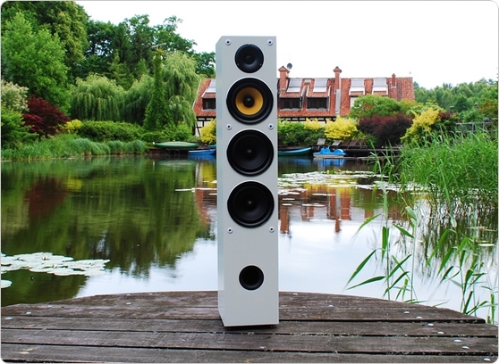 Taga harmony TAV-506F v.2 cecha 1