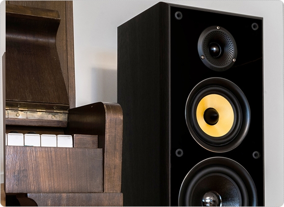 Taga harmony TAV-606F - cecha 2