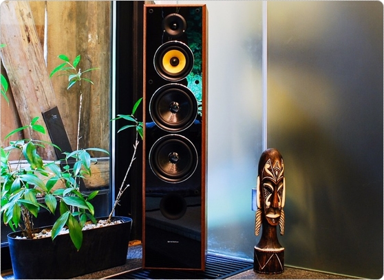 Taga harmony TAV-606F - cecha 1