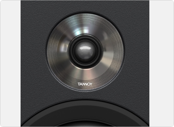 Tannoy Platinum B6 - cecha 2