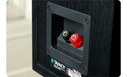 Tannoy Eclipse mini - cecha 1