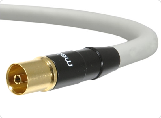 melodika MDGANT - cecha 2