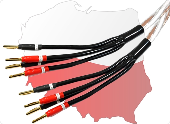 Melodika BSBA4500 - cecha 3