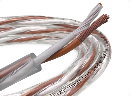 Melodika BSSC3300 - cecha 1