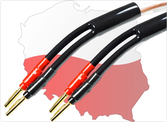 Melodika BSSC4500 - cecha 3