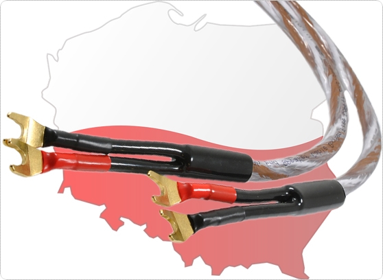 Melodika BSSC4500s - cecha 3
