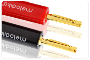 Melodika MDBAN4 - cecha 2